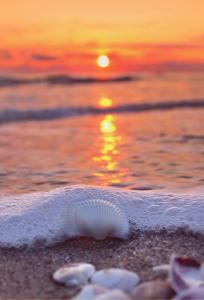 Family Hotel Electra