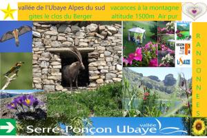 Chalets Le Clos Du Berger : photos des chambres