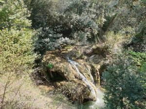 Maisons d'hotes Villa parpailloun, jardin, piscine chauffee : photos des chambres