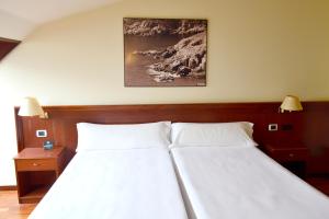 Double or Twin Room room in Hotel Alda El Suizo