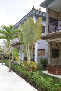 Mangga Wangga Living