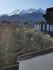 Апартаменти Ковачева-2