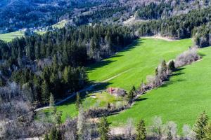 Little dream house in a perfect spot 