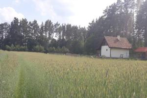 Leśny Zakątek