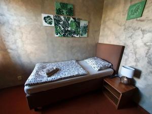 Single Room room in Penzion Bily Beranek