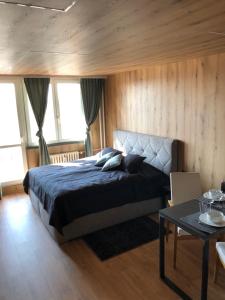 Studio Ostrava - Maroldova - 3hvězdičkové hotely ve městě Ostrava