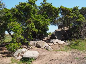 Stazzu Giasti Agriturismo img97