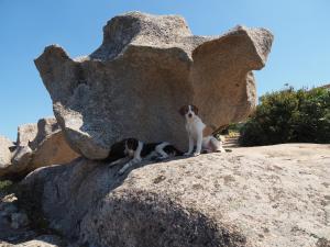 Stazzu Giasti Agriturismo img98