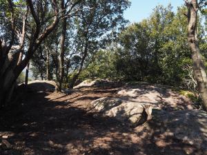 Stazzu Giasti Agriturismo img94