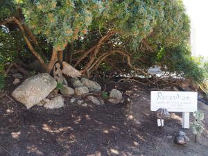 Stazzu Giasti Agriturismo img93