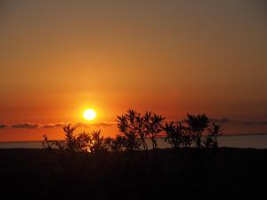 Stazzu Giasti Agriturismo img90