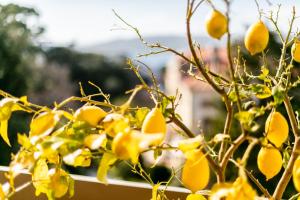 LE CHATEAU DE LA PINEDE AP4198 by Riviera Holiday Homes