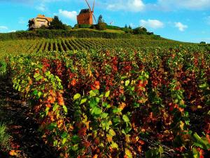 Hotels Mercure Reims Centre Cathedrale : photos des chambres