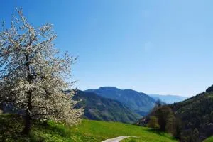 Ferienwohnung Unterkofler - سان جينيزيو أتِزينو