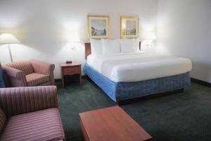 Executive King Room room in La Quinta Inn by Wyndham Ft. Lauderdale Tamarac East