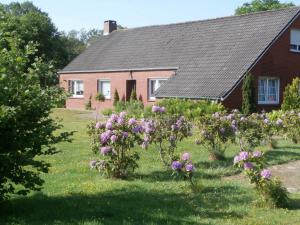 Ferienwohnung Mientje, 35214