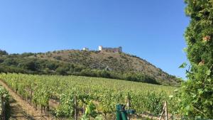 cottage with private swimming pool