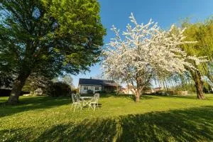 La planche pinçon - 米萨讷