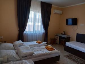 Comfort Triple Room room in Comfort Guest House