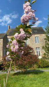 B&B / Chambres d'hotes Le Chateau de Claids : photos des chambres