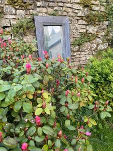 B&B / Chambres d'hotes Le Chateau de Claids : photos des chambres