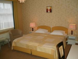 Standard Double Room room in Hotel Excelsior