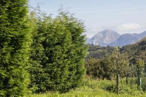 Casa de Aldea Casina del Naranjo