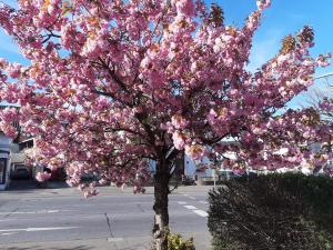 FEWO Gerdi und Hanne