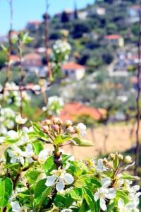 AMALTHIA FARM HOUSE Ithaka Greece