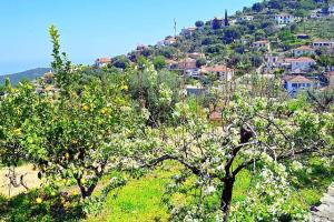 AMALTHIA FARM HOUSE Ithaka Greece