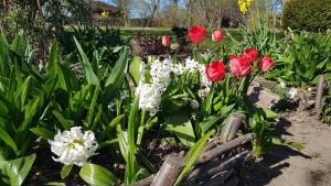 Gemütliche Ferienwohnung unterm Reetdach