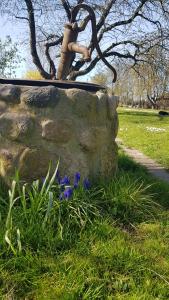 Gemütliche Ferienwohnung unterm Reetdach