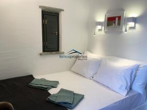 Aqua Blue, only 100 meters from the beach of Gialiskari Kea Greece