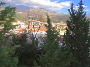 Villa Budvanka Guesthouse