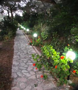 Amfitriti Hotel & Studios Paxoi Greece