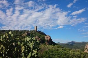 CASA VACANZE PAOLA SARDEGNA img20