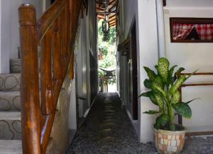 The Hangout@ EcoTravel