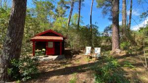 Maisons de vacances Le petit poulailler au beau milieu des pins : photos des chambres