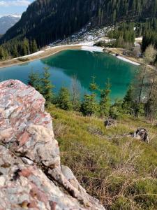 Appartements Ski Rent Michael