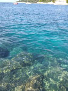 Levak Apartments - Apt. 2