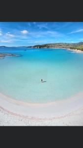 Tuffarsi nel Paradiso img25