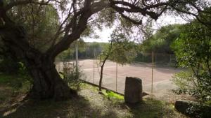 Villetta Mannucciu img35