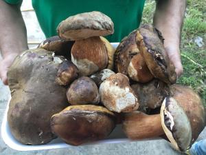 Sogno Sulcitano Masainas img60