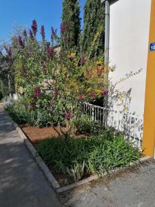 4 Roses Apartment 