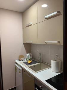 Apartment A13 Kopaonik