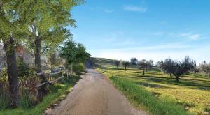 Agriturismo SantAngelo holiday farm