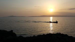 Sogno Sulcitano Masainas img78