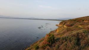 Sogno Sulcitano Masainas img79