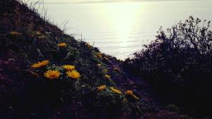 Sogno Sulcitano Masainas img85