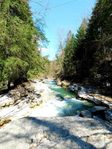 Tauglerei Appartement Kamin in den Zauberbergen